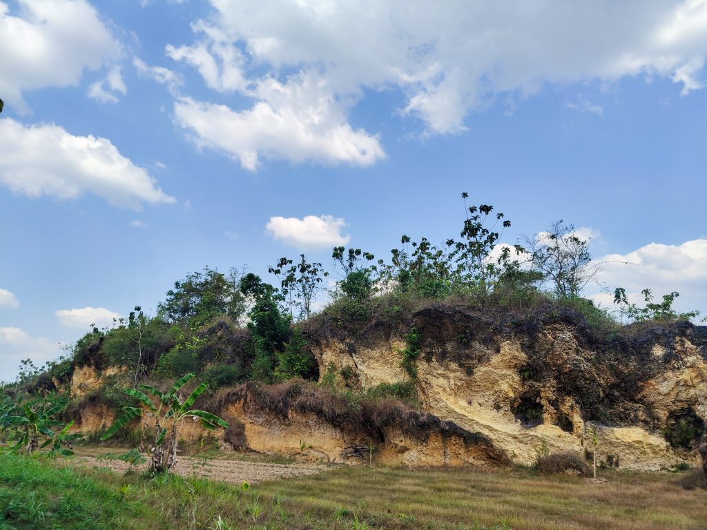 Image Gallery